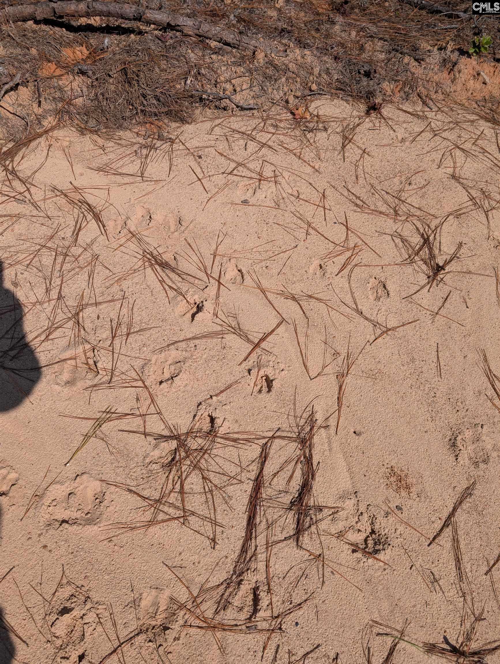 Winnsboro, South Carolina 29180, United States, ,Land,Active,226190