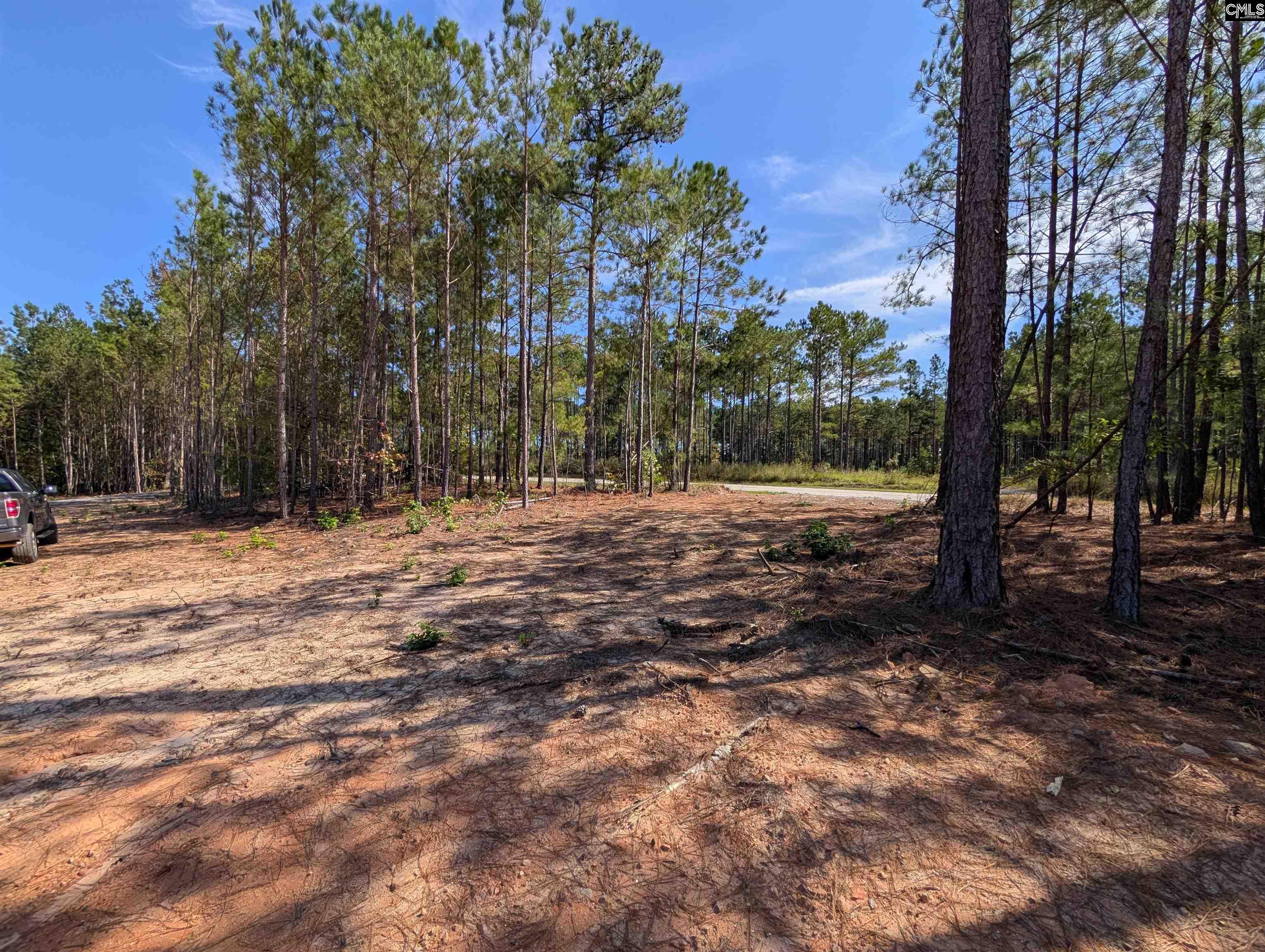 Winnsboro, South Carolina 29180, United States, ,Land,Active,226190