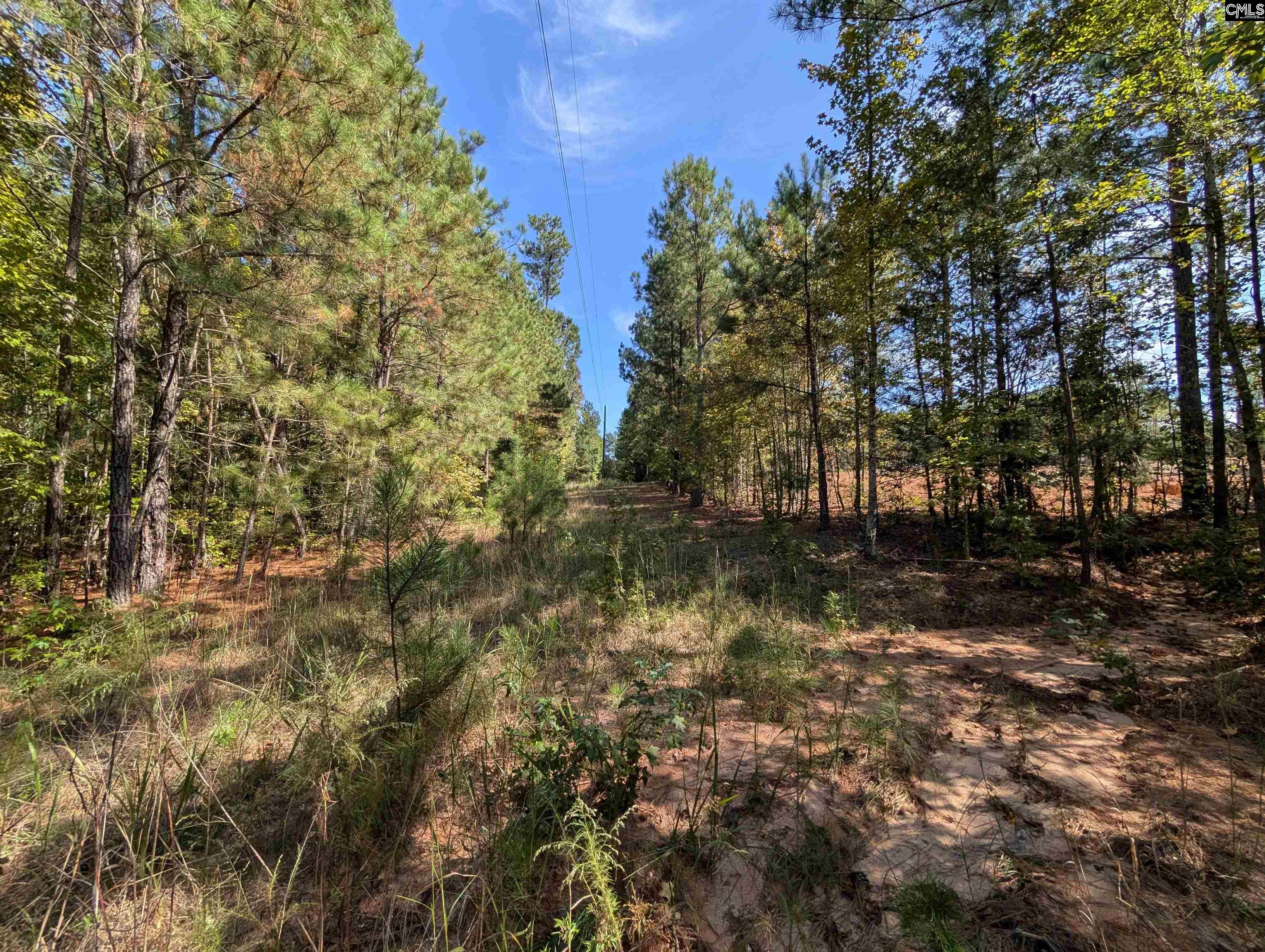 Winnsboro, South Carolina 29180, United States, ,Land,Active,226190