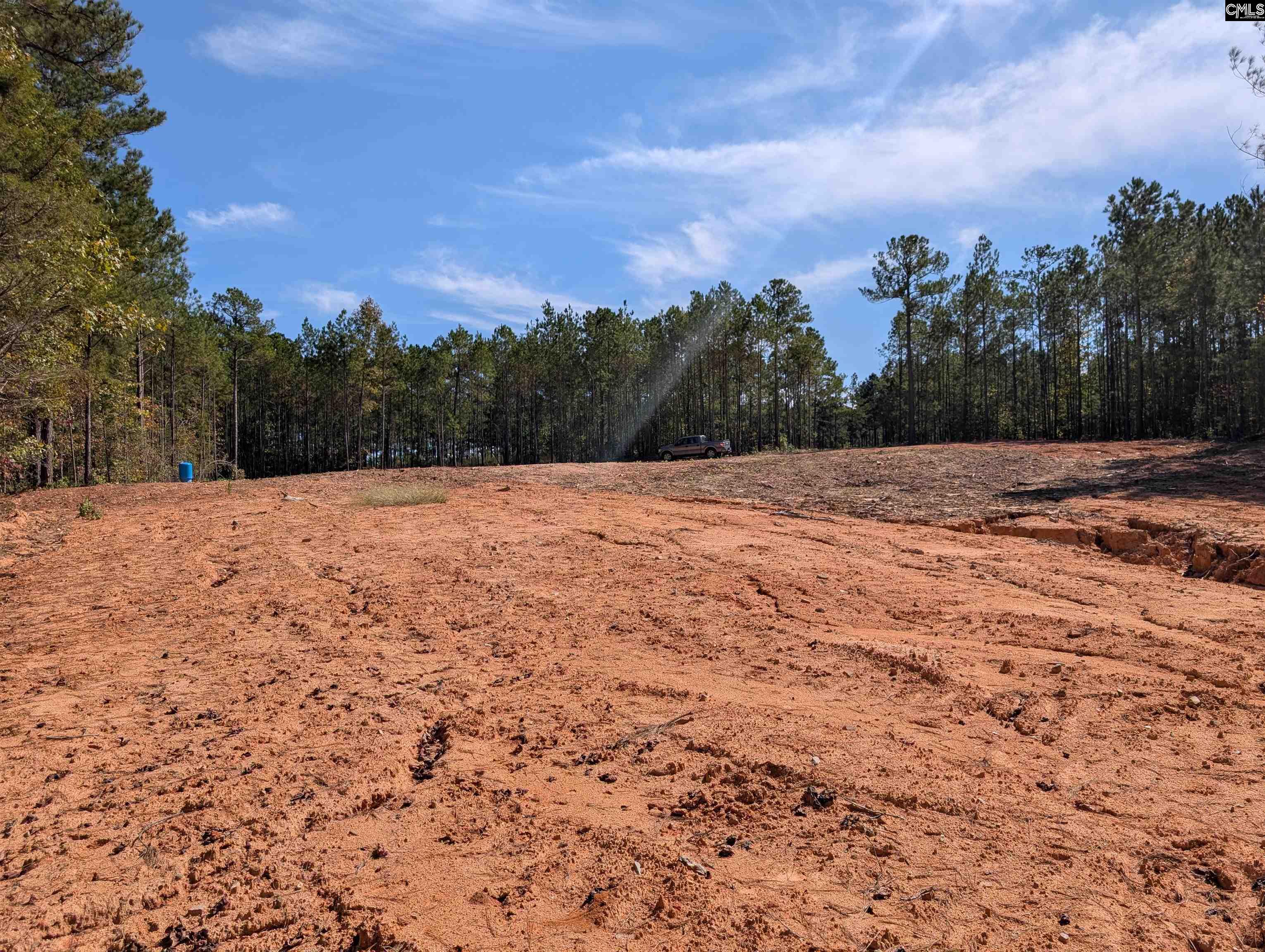 Winnsboro, South Carolina 29180, United States, ,Land,Active,226190