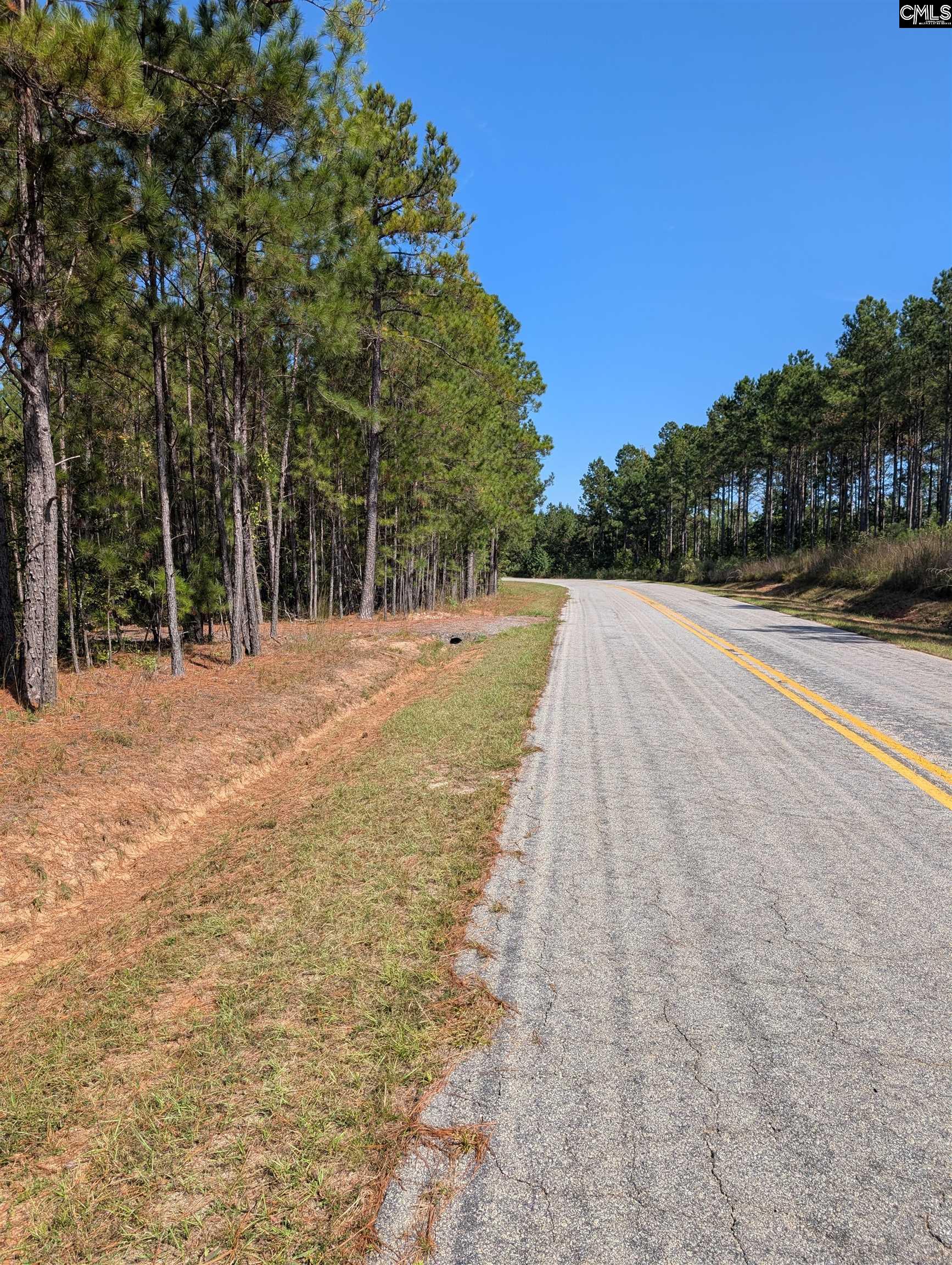 Winnsboro, South Carolina 29180, United States, ,Land,Active,226190