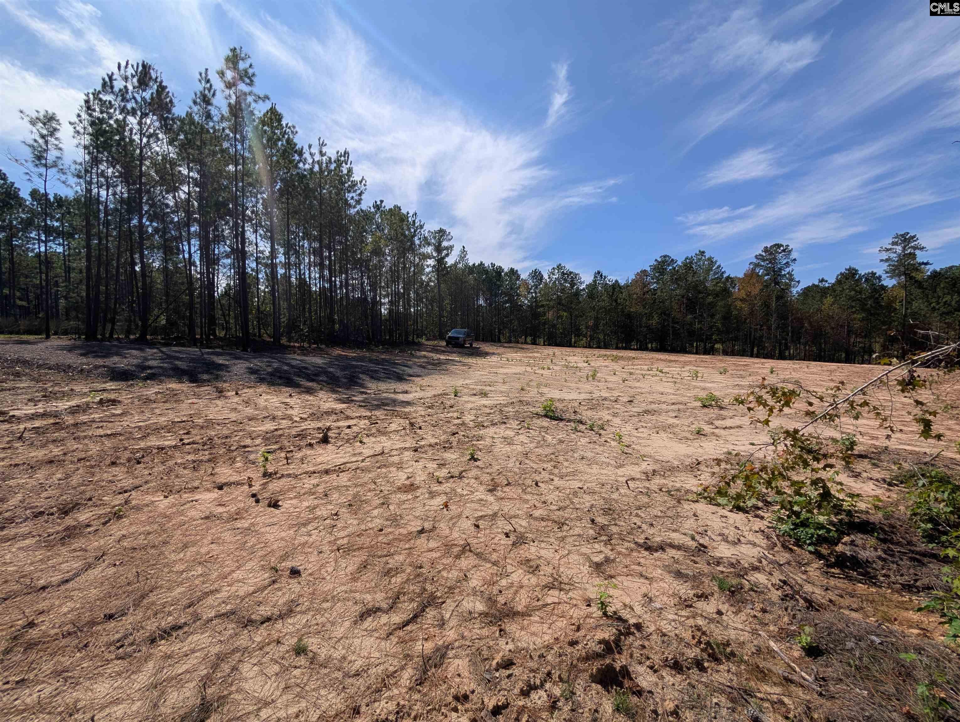 Winnsboro, South Carolina 29180, United States, ,Land,Active,226190