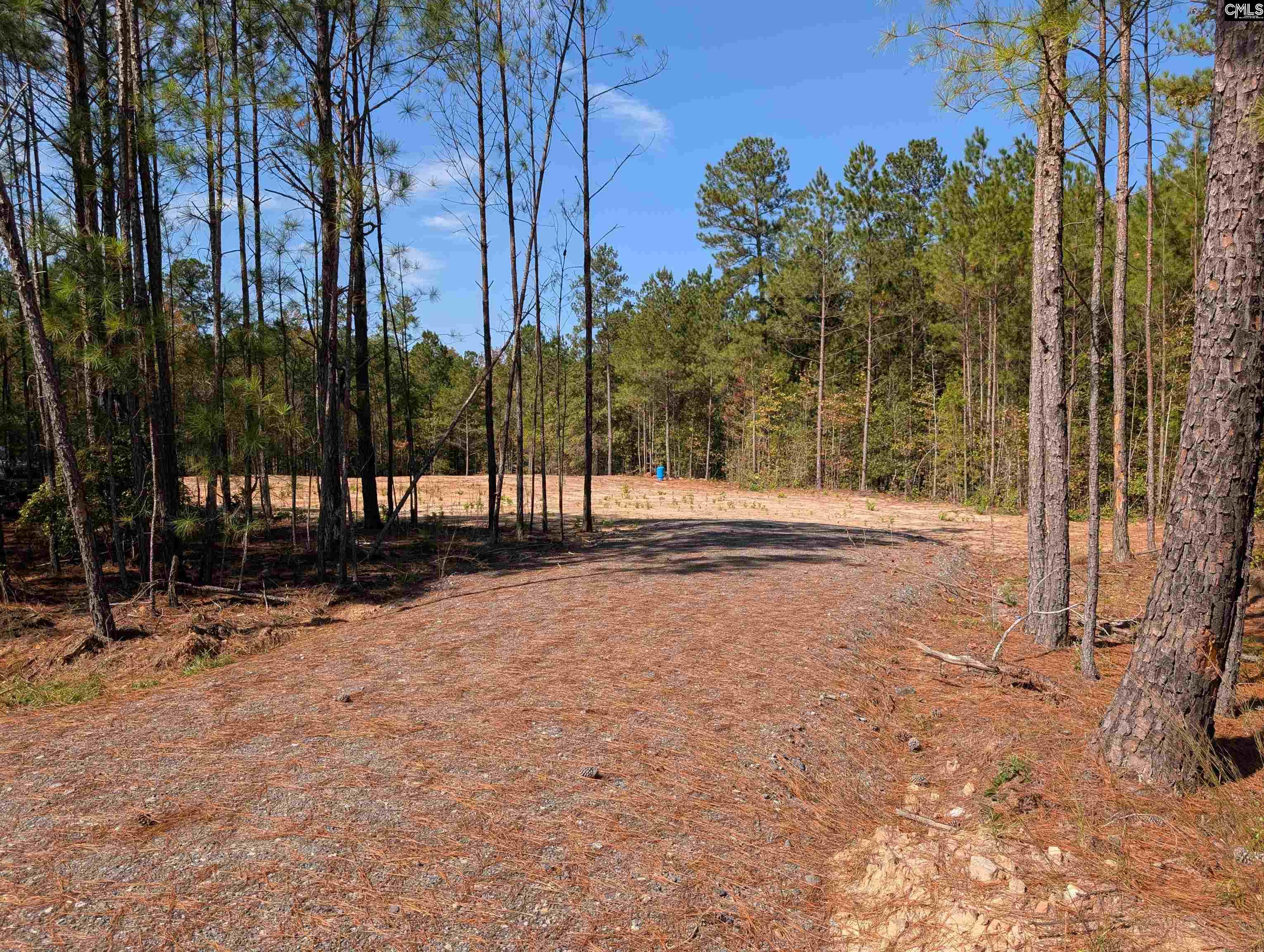 Winnsboro, South Carolina 29180, United States, ,Land,Active,226190