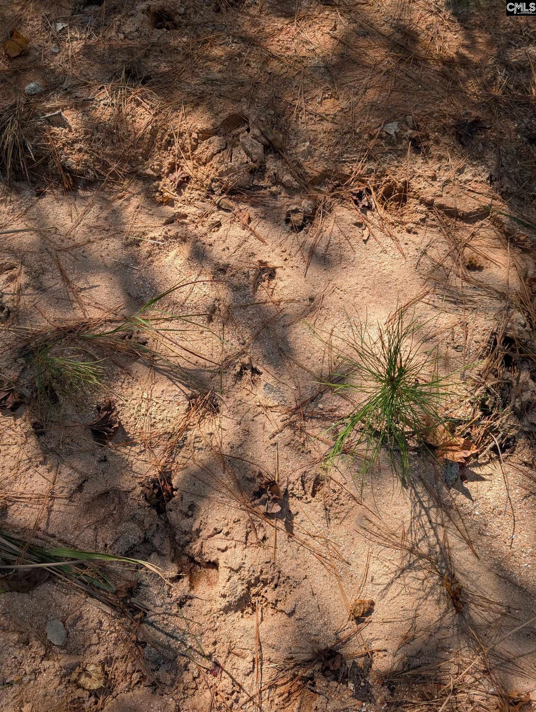 Winnsboro, South Carolina 29180, United States, ,Land,Active,226190