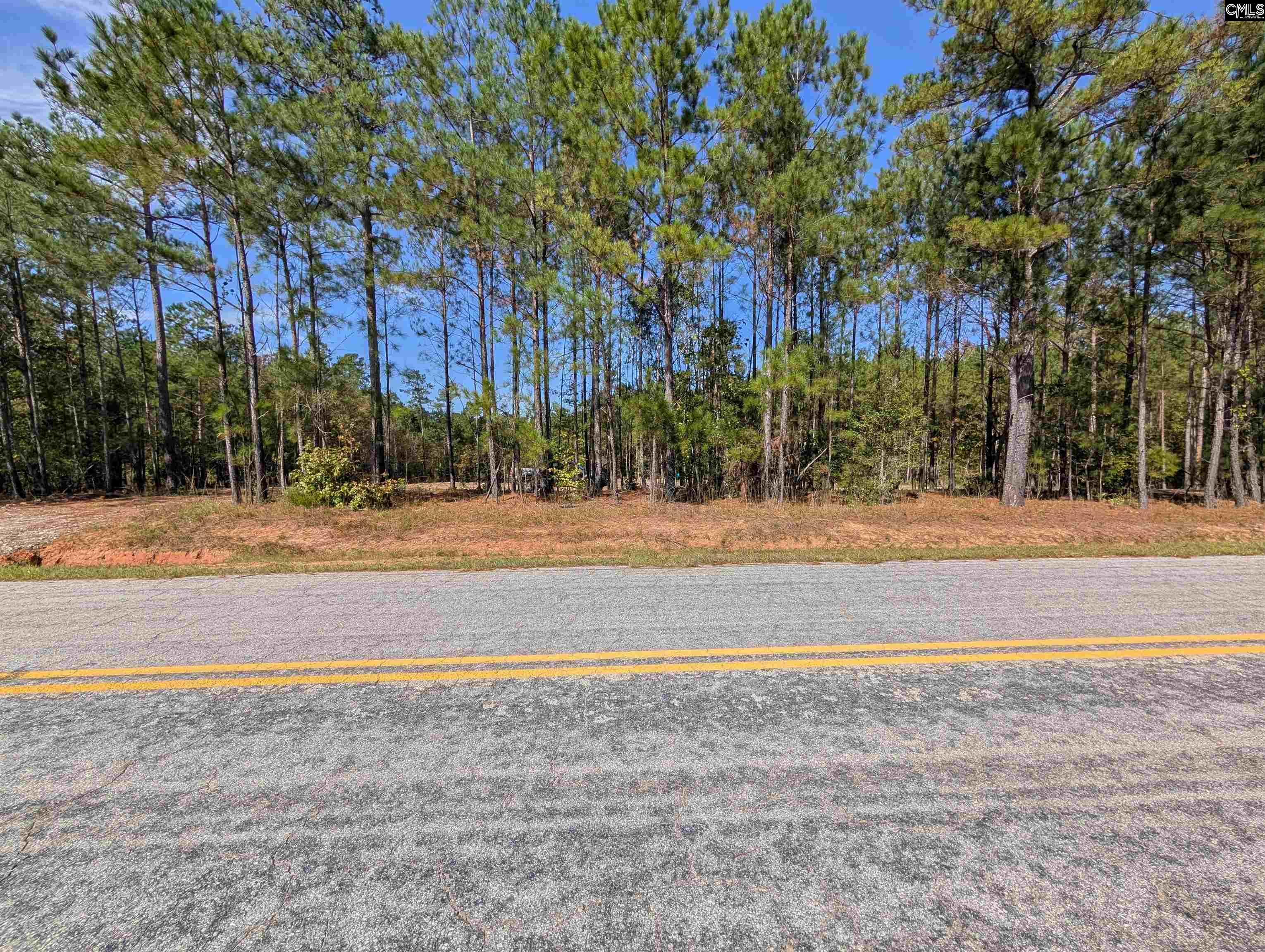 Winnsboro, South Carolina 29180, United States, ,Land,Active,226190