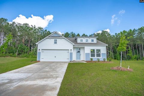 Photo of 242 Caballeros Trail, Prosperity, SC 29127 (MLS # 619638)