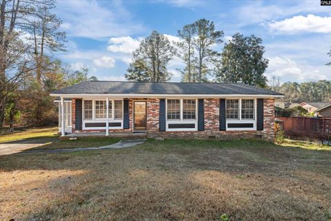 Photo of 520 Newburgh Drive, Columbia, SC 29203 (MLS # 623725)