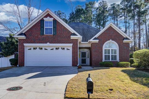 Photo of 29 Palmetto Wood Parkway, Irmo, SC 29063 (MLS # 623874)
