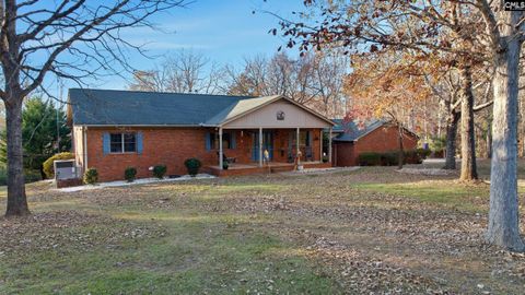 Photo of 1381 Mike Stuck Road, Little Mountain, SC 29075 (MLS # 622345)