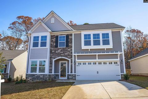 Single Family Residence in Lexington SC 686 Rose Quartz Lane.jpg