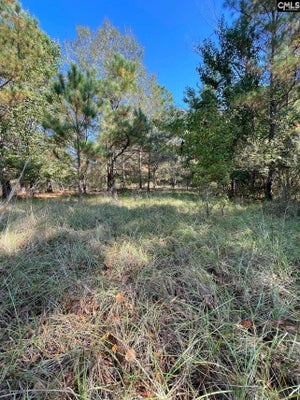 110 WILLOW CREEK BLVD, LUGOFF, SC 29078 - Image 53de04bb214b91fc72afc2fd93f3befc/2146095433