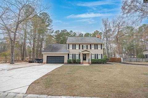 Photo of 104 Crane Branch Lane, Columbia, SC 29229 (MLS # 622819)