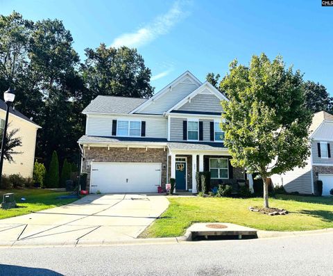 Photo of 233 Welsummer Way, Lexington, SC 29072 (MLS # 618730)