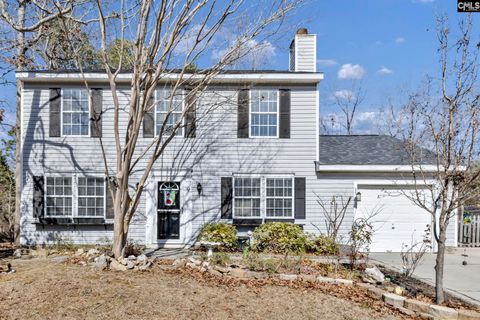 Photo of 9 Twill Court, Irmo, SC 29063 (MLS # 626853)