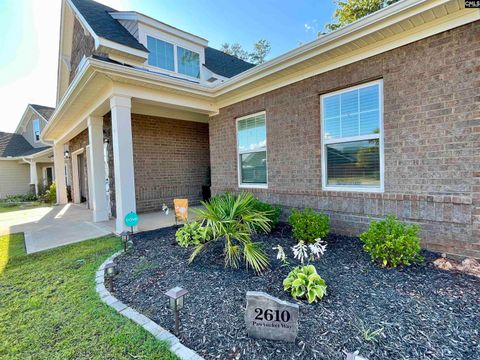 A home in Chapin