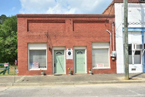 Photo of 7306 Festival Trail Road, Springfield, SC 29146 (MLS # 609057)