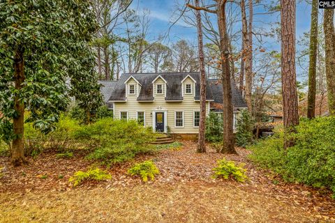 Photo of 124 Melville Road, Columbia, SC 29212 (MLS # 631531)