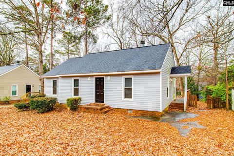 Photo of 204 River Song Drive, Irmo, SC 29063 (MLS # 623907)