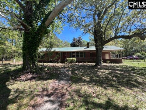 Single Family Residence in Wagener SC 39 Gantt Street.jpg