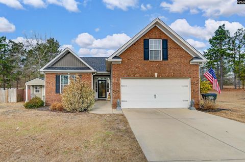 Photo of 230 Crassula Drive, Lexington, SC 29073 (MLS # 624147)