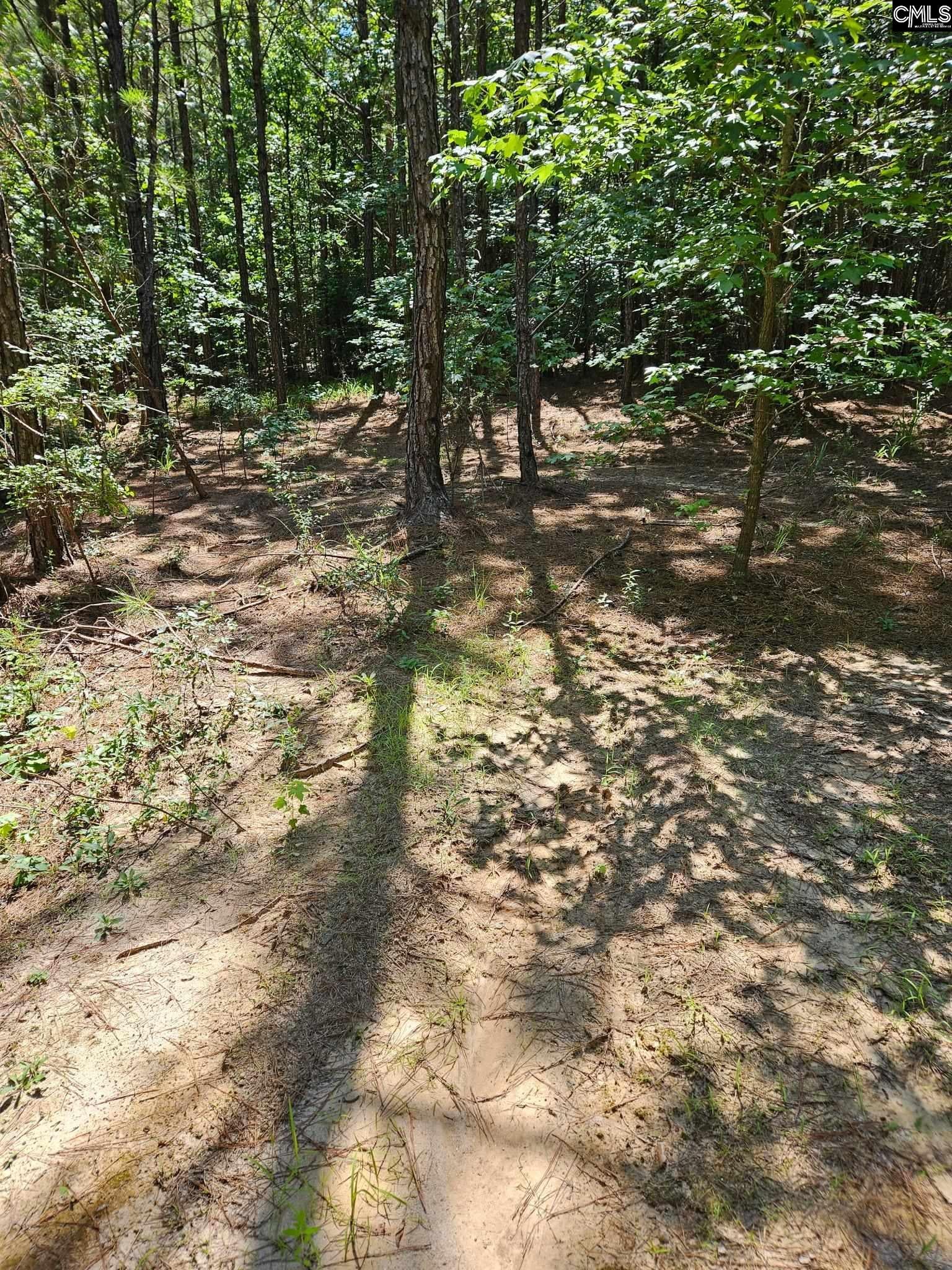 00 Cypress Drive Unit 0, Winnsboro, SC, 29180