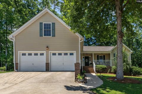 Photo of 316 Cutter Court, Chapin, SC 29036 (MLS # 639304)