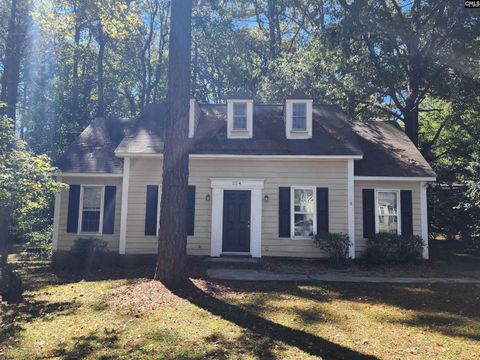Photo of 224 Trinity Three Road, Irmo, SC 29063 (MLS # 620731)