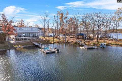 A home in Chapin