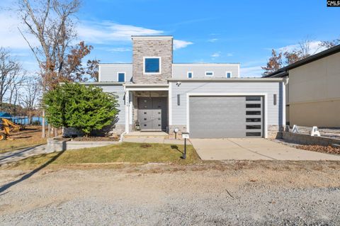 A home in Chapin