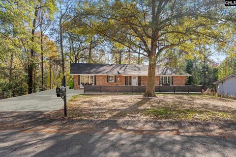 Photo of 214 Melody Lane, Columbia, SC 29210 (MLS # 627369)