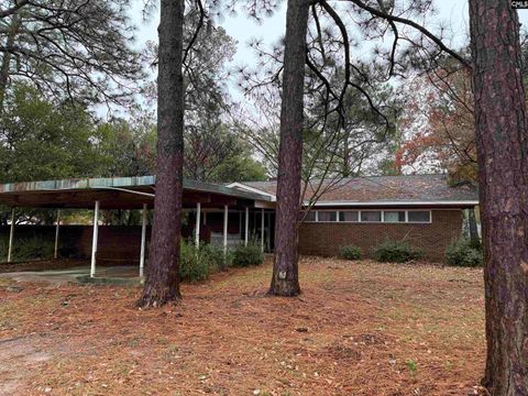 Photo of 710 Mason Road, Columbia, SC 29203 (MLS # 622685)