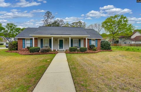 Photo of 264 Danby Court, Columbia, SC 29212 (MLS # 631447)