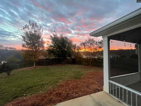 A home in Chapin