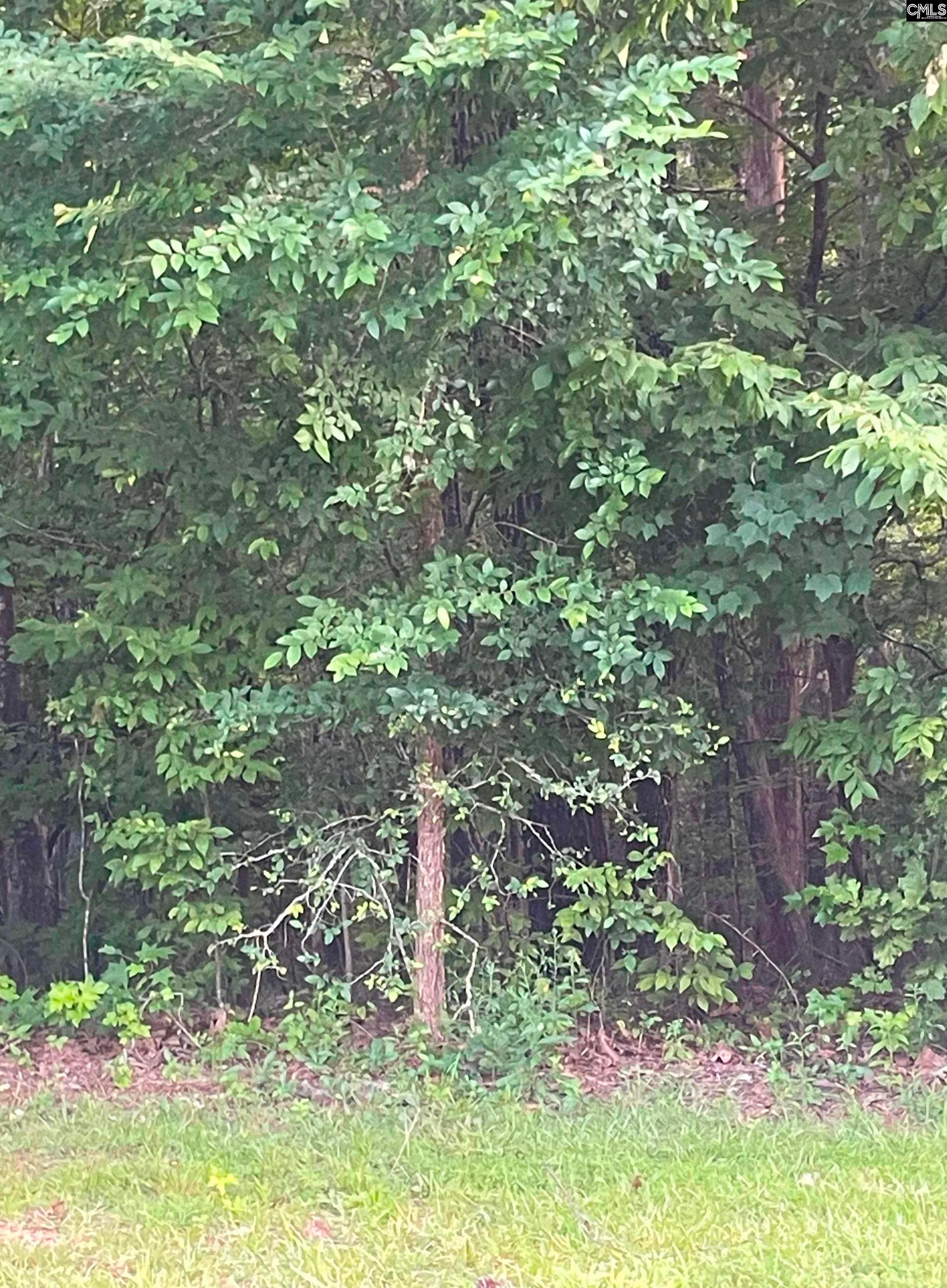 11 Otter Trail Court