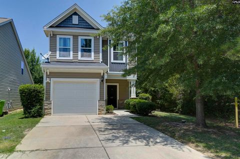 Photo of 437 Lanyard Lane, Chapin, SC 29036 (MLS # 638359)