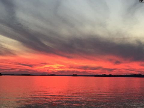 Photo of 1145 Indian Summer Point, Chapin, SC 29036 (MLS # 634401)