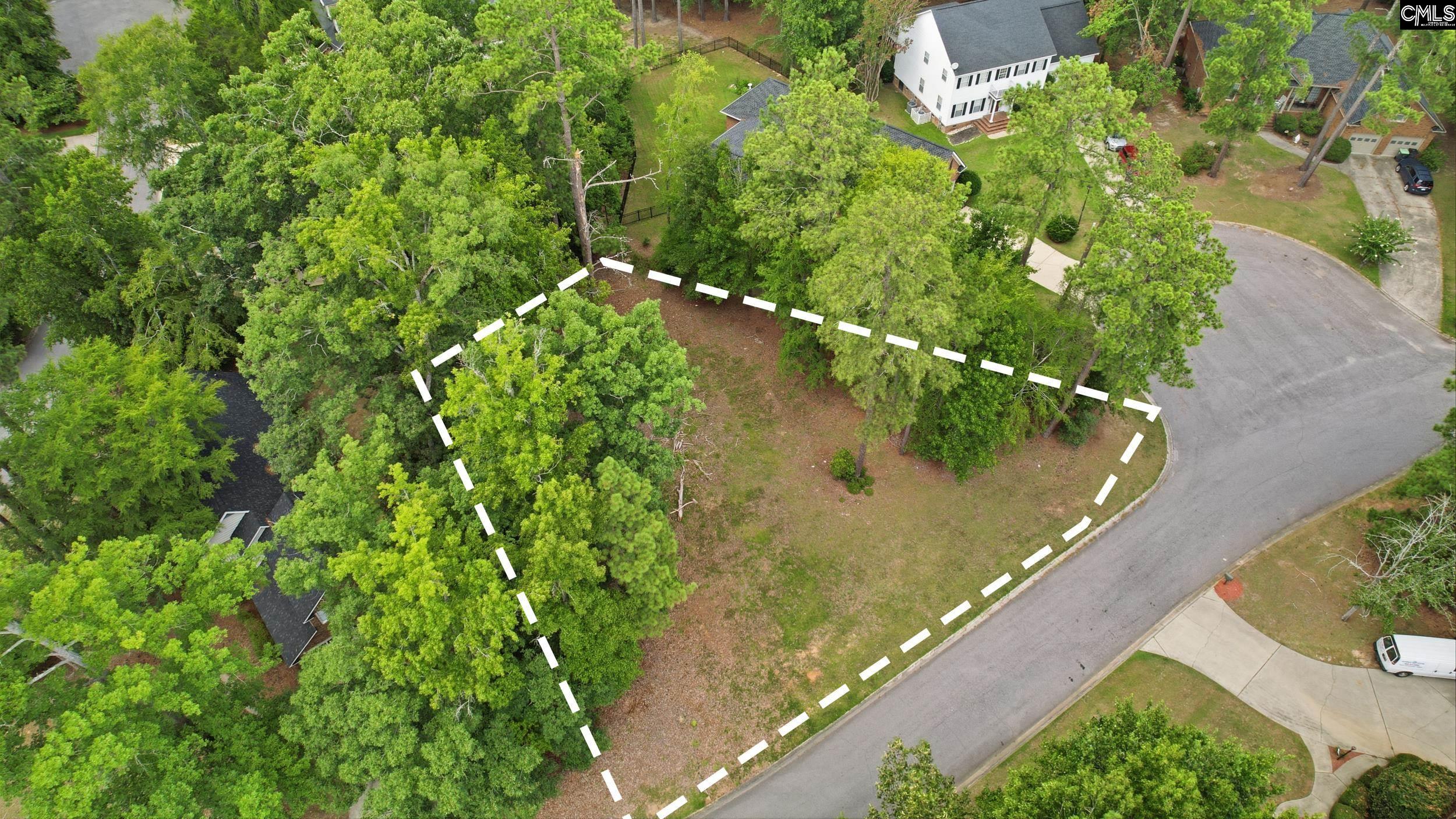 105 Oak Trace Court, Chapin, SC, 29036