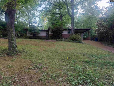 Photo of 1509 Alpine Drive, West Columbia, SC 29169 (MLS # 631587)