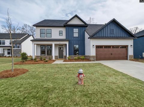 Photo of 28 Elk Run Court, Chapin, SC 29036 (MLS # 624688)