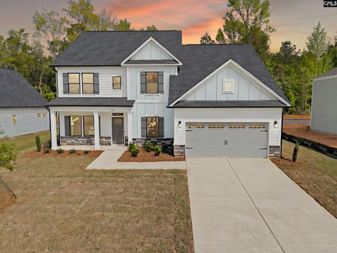 Photo of 28 Elk Run Court, Chapin, SC 29036 (MLS # 624688)