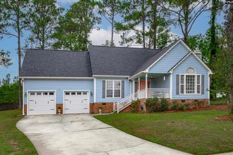 Photo of 6 Engrid Court, Columbia, SC 29223 (MLS # 618727)
