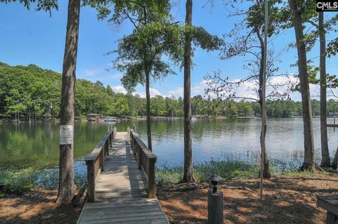 A home in Chapin