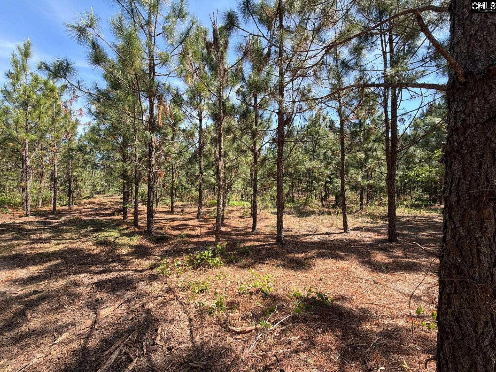 HRF 8 Holstein Road, Wagener, SC, 29164