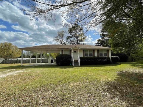 Photo of 358 Railroad Avenue, Lexington, SC 29072 (MLS # 630799)