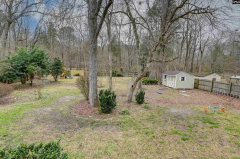 A home in Irmo