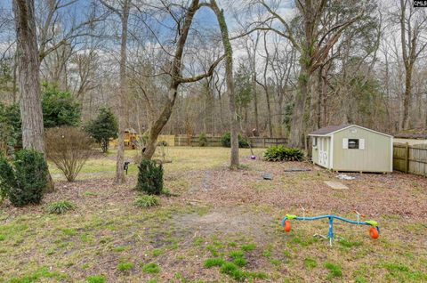 A home in Irmo