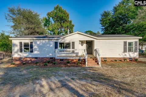 Photo of 118 Millwood Avenue, Lexington, SC 29073 (MLS # 626068)