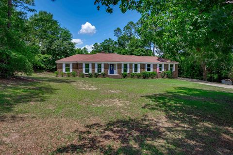 Photo of 320 Kellly Mill Road, Elgin, SC 29045 (MLS # 637101)