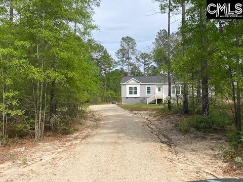 Photo of 168 Mack Street, Gaston, SC 29053 (MLS # 632108)