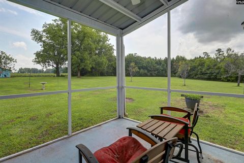 A home in Chapin